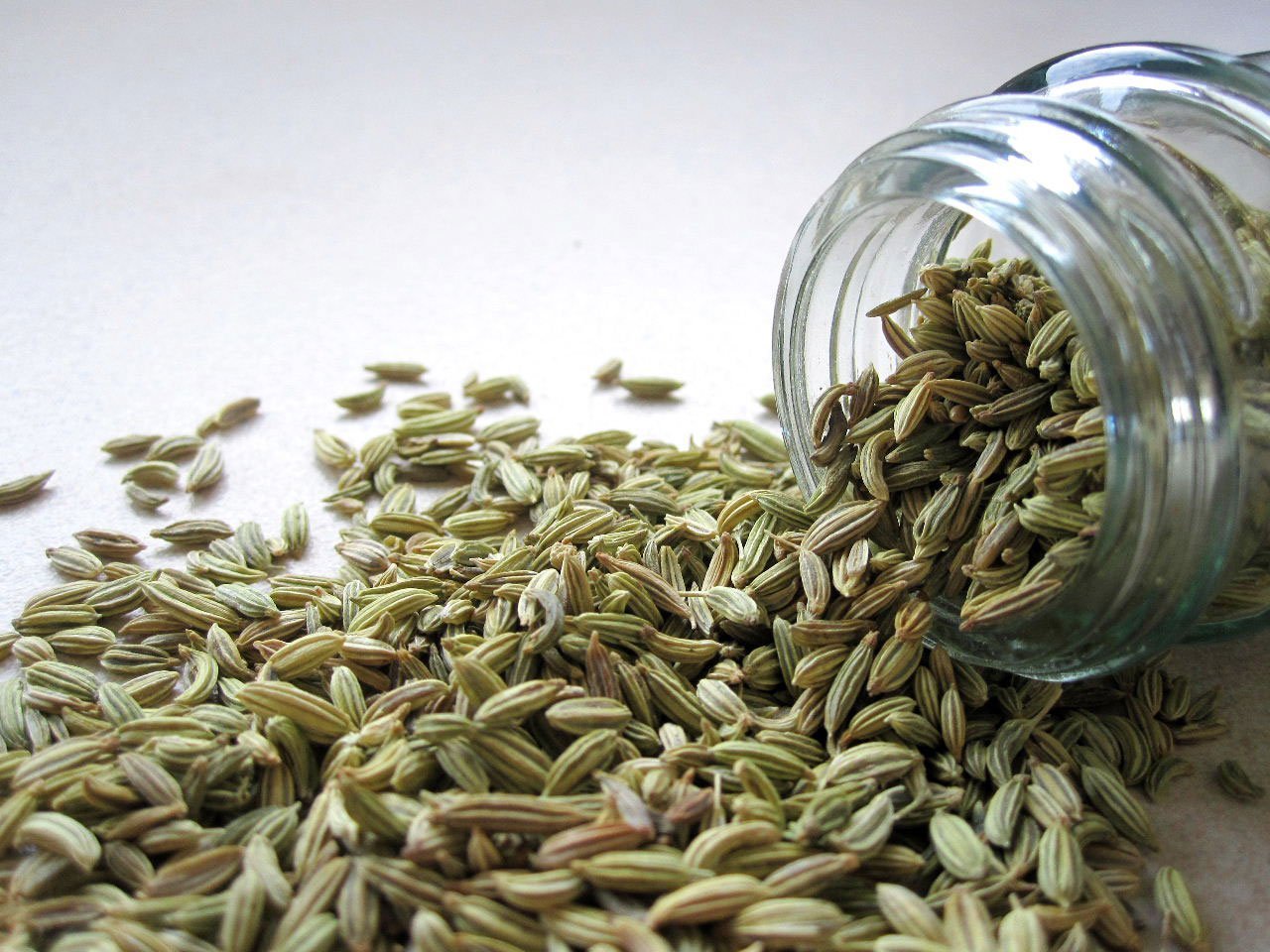 Fennel Seeds 400g - Tassyam Organics