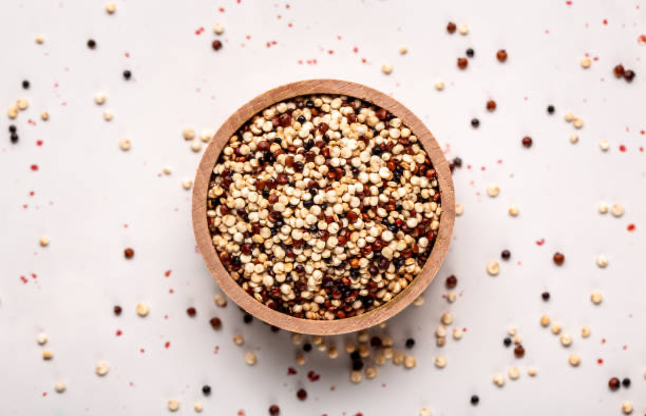 Quinoa quest: Navigating the Vegan Protein Landscape