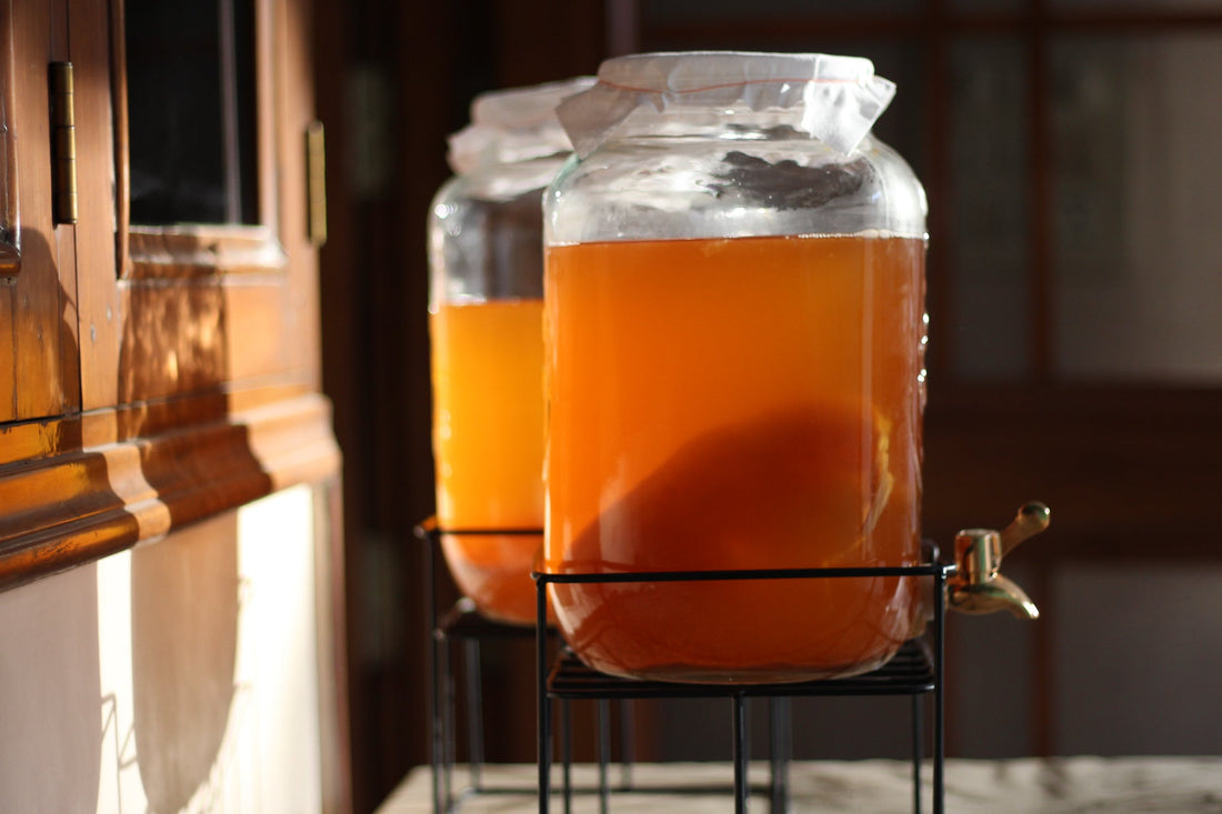 Kombucha: Just Another Fad or Something That is Here to Stay? - Tassyam Organics