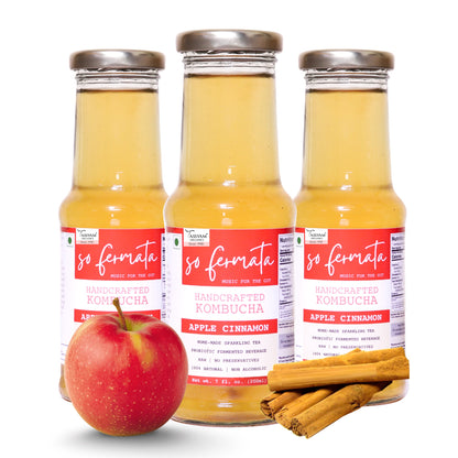 Artisanal Kombucha - Apple Cinnamon - Tassyam Organics