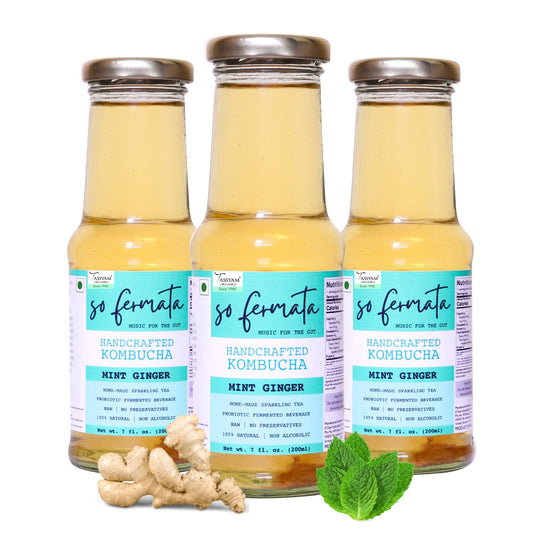 Artisanal Kombucha - Mint Ginger - Tassyam Organics