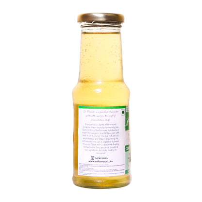 So Fermata Artisanal Kombucha - Curry leaf Ginger - Tassyam Organics